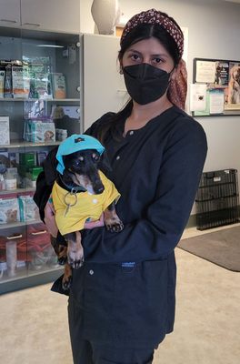 The Animal Doctors